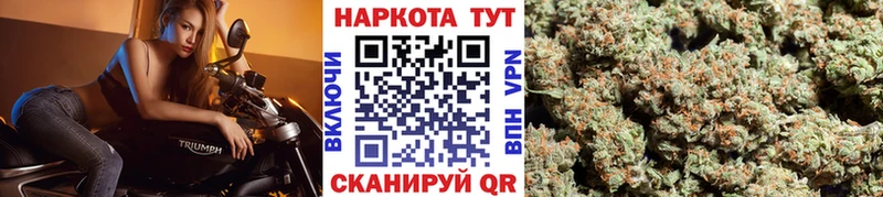 Магазины продажи наркотиков Гатчина Каннабис СК ГАШ Мефедрон