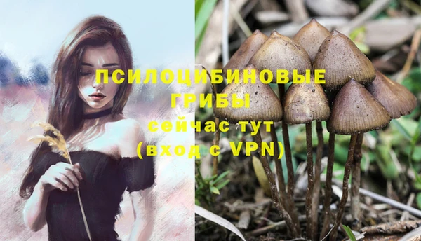 кокаин Балахна